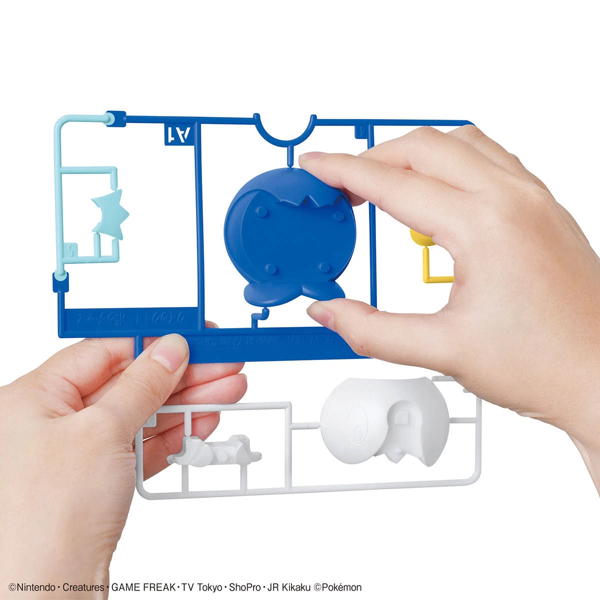 Bandai Pokemon Piplup 06 Quick Model Kit 6 Bandai Pokemon Piplup 06 Quick Model Kit - Image 4