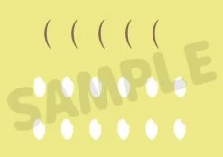 Haikyuu!! Nendoroid No.723 Keiji Akaashi 15 Haikyuu!! Nendoroid No.723 Keiji Akaashi -Toy Model Store G12778 7