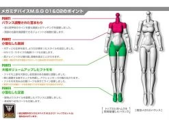 Megami Device M.S.G. 02 Bottom Set Skin Color A Model Kit -Toy Model Store e886b76c 3b21 41cc a751 c4bf336bafdc